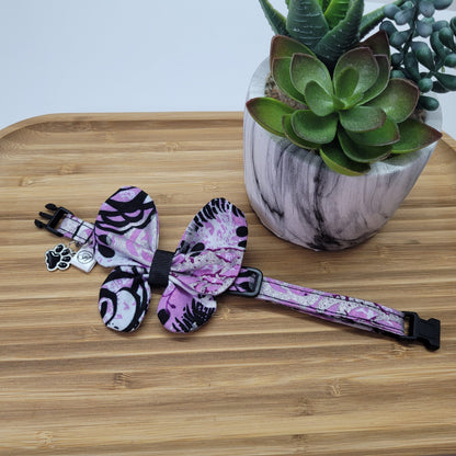 collier pour chat ou petit chien