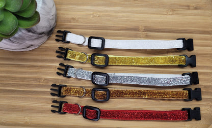collier pour chat ou petit chien