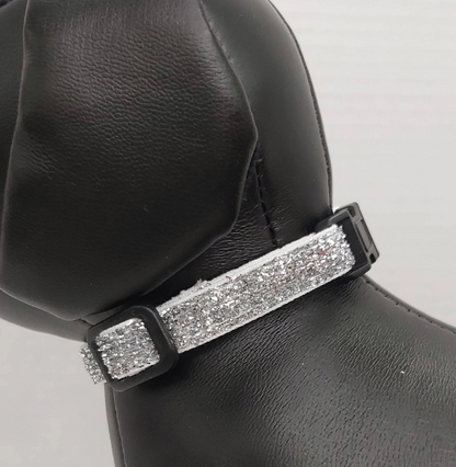 collier pour chat ou petit chien