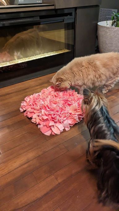 Tapis de fouille pour chien et chat (snuffle mat)