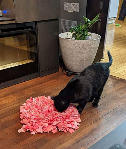 Tapis de fouille pour chien et chat (snuffle mat)